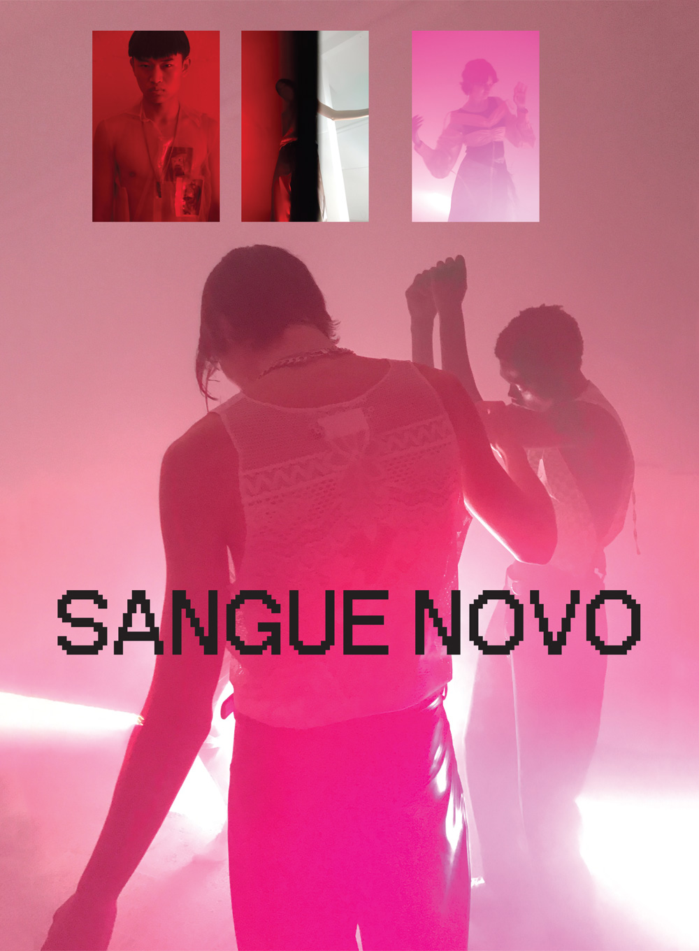 sangue novo
