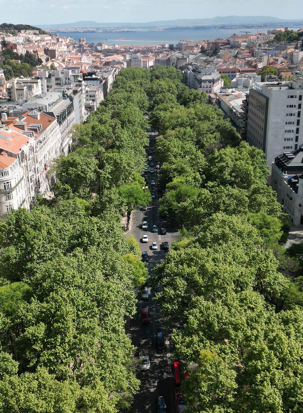 assoc avenida